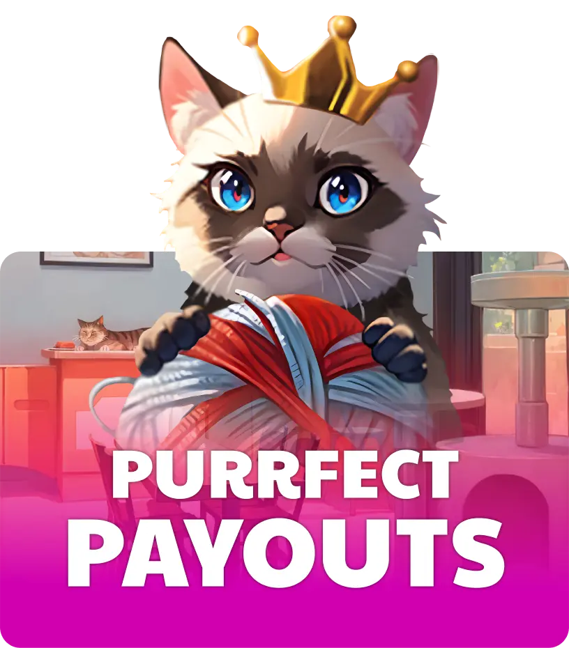 Purrfect Payouts