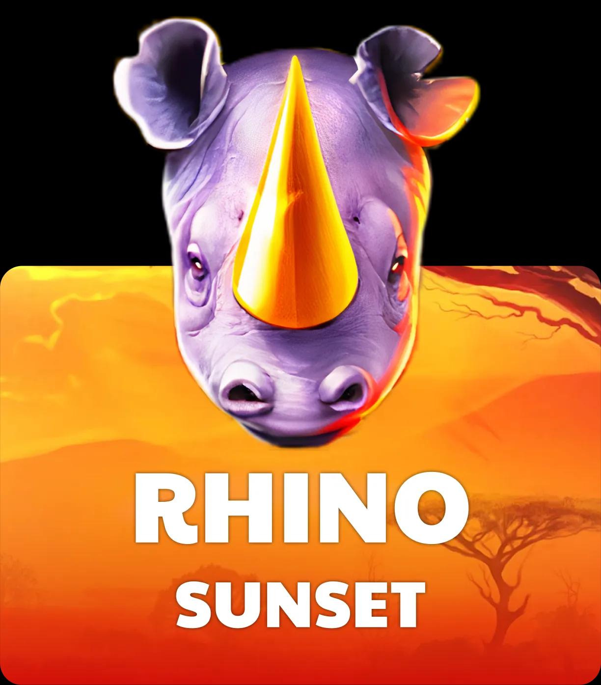 Rhino Sunset