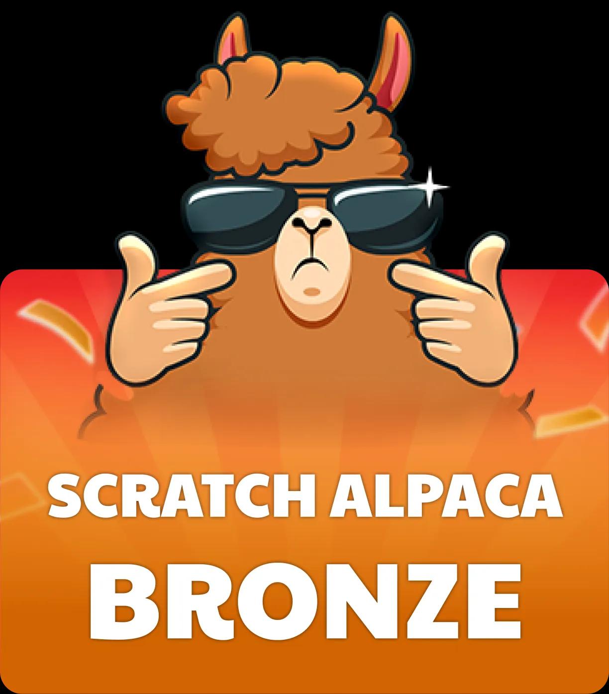 Scratch Alpaca Bronze