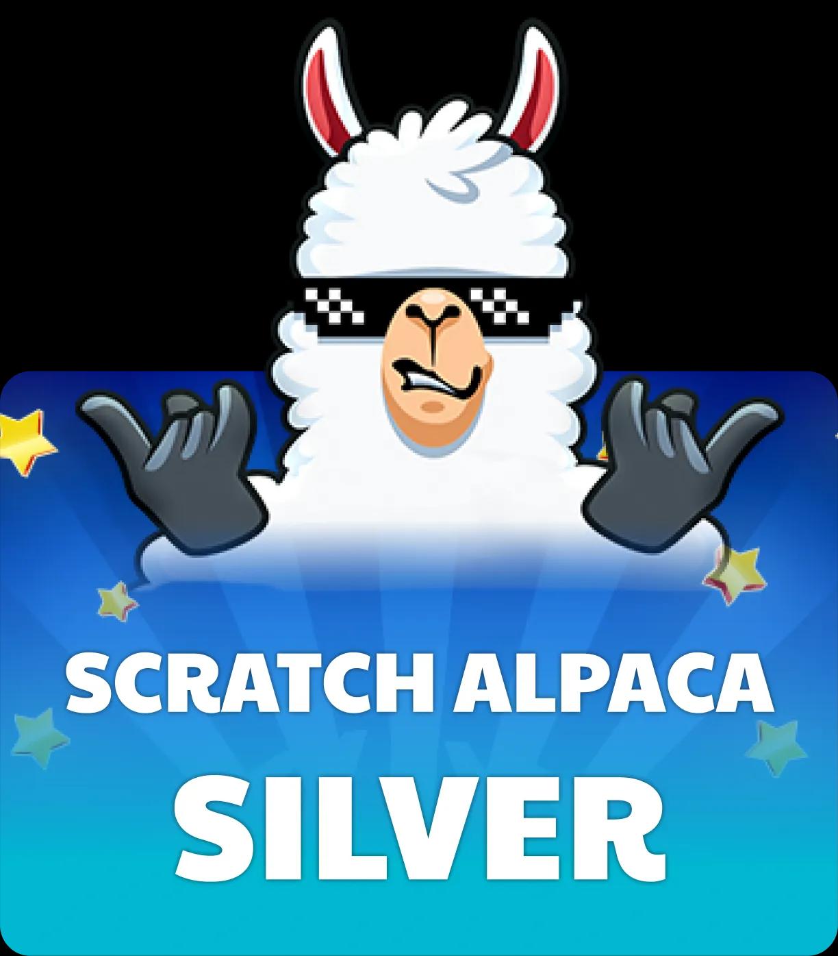 Scratch Alpaca Silver